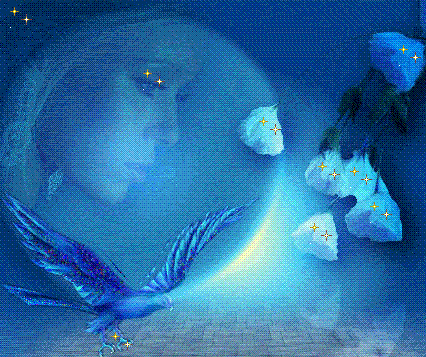 reguarde dans la ciel