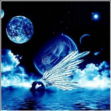 elle est belle l'image