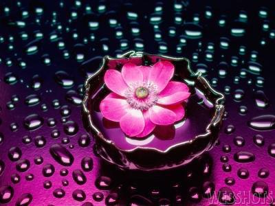 jattend avec impatience le printemps