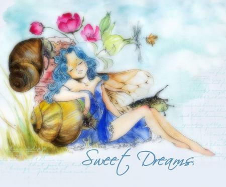 je vous rajoute des images f�erique