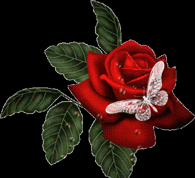 il f� moche et en ++++++ c les vacances